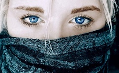 哪里可以看金瓶梅